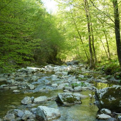 fiume judrio