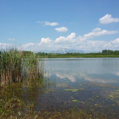 immagine contenuta nella pagina: acque trasparenti, equilibri invisibili