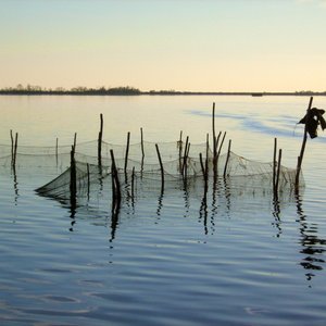 immagine anteprima per la notizia: il territorio: acque di transizione - il complesso lagunare di...