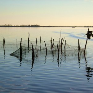 immagine anteprima per l'approfondimento: il territorio: acque di transizione - il complesso lagu...