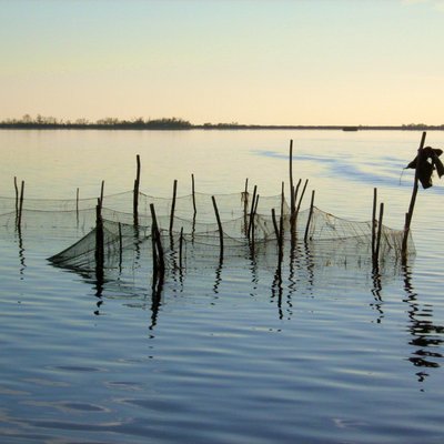 postazione con cogolli per la pesca nella laguna d...