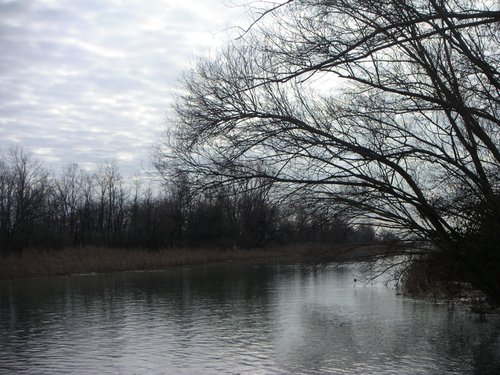 Laguna di Marano foce del fiume Cormor - © Arpa FVG