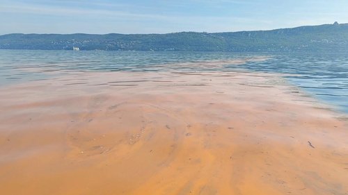 Mare rossa lungo la costiera triestina aprile 2021 - © Arpa FVG.