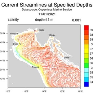 immagine anteprima per la notizia: gennaio 2021: masse d’acqua marina caratterizzate da alta sali...