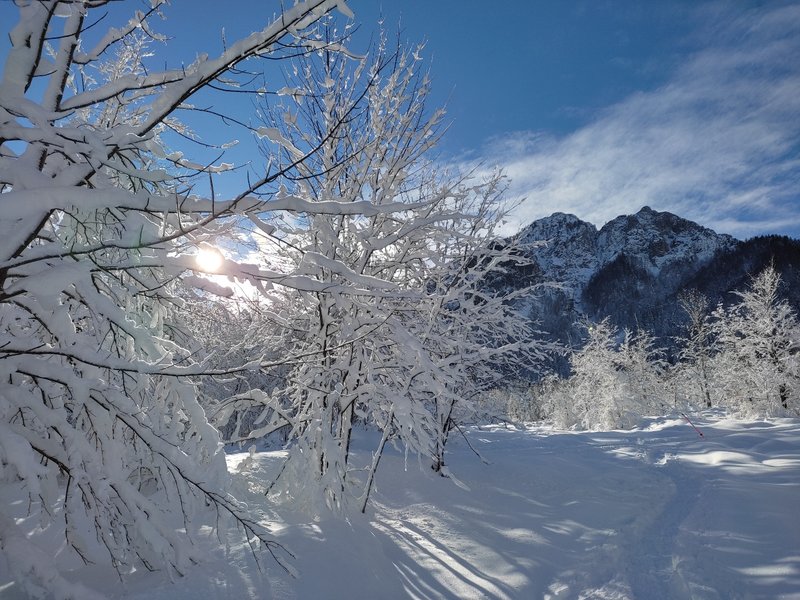 immagine anteprima per la notizia: appunti di meteorologia alpina
