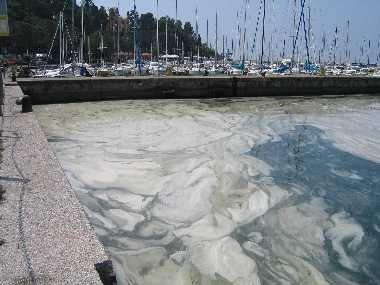 Mucillagine nel porticciolo di Grignano