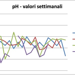 immagine anteprima per l'approfondimento: campagna di monitoraggio delle piogge in friuli venezia...