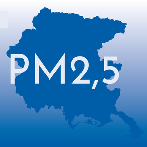 immagine anteprima per la pagina: particelle sospese pm2.5