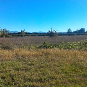 immagine anteprima per la notizia: on line la nuova sezione sulla “qualità dei suoli e biodiversi...