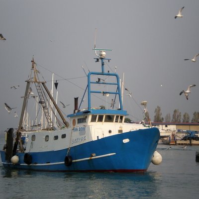 imbarcazione per la pesca a strascico nel golfo di...