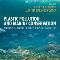 immagine contenuta nella pagina: l’inquinamento da plastica nell'ambiente marino è il tema affron...
