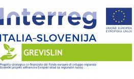 Progetto Grevislin