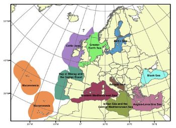 fonte: "the role of economics in ecosystem based m...