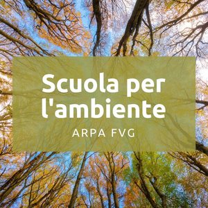 immagine anteprima per la notizia: riparte la scuola per l'ambiente arpa fvg