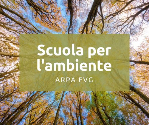 Scuola per ambiente