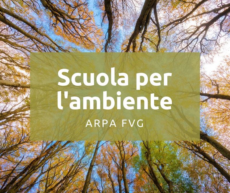 immagine anteprima per la notizia: riparte la scuola per l'ambiente arpa fvg