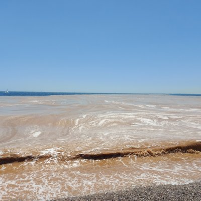 mucillagine in evidente stato di decomposizione da...