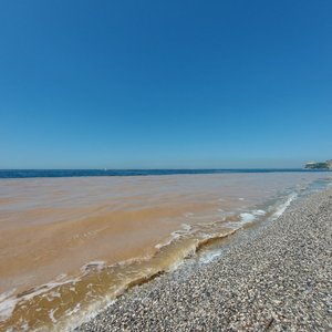 immagine anteprima per la notizia: mucillagini nel golfo di trieste: un aggiornamento
