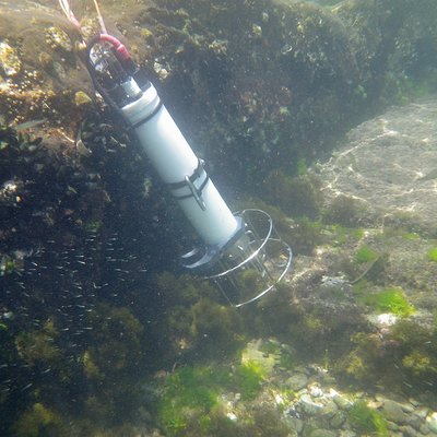 sonda multiparametrica al fondo