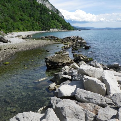immagine contenuta nella pagina: rientrata l'allerta per la fioritura di ostreopsis cfr. ovata a ...