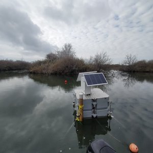 immagine anteprima per la notizia: laguna di grado e marano: potenziata la rete di monitoraggio a...