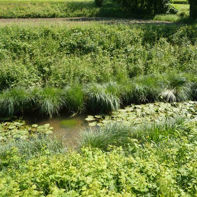 immagine contenuta nella pagina: acque trasparenti, equilibri invisibili