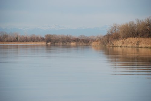 Tratto terminale del fiume Isonzo - © Arpa FVG