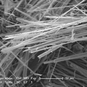 TREMOLITE: immagine raccolta al microscopio elettronico a scansione (SEM)