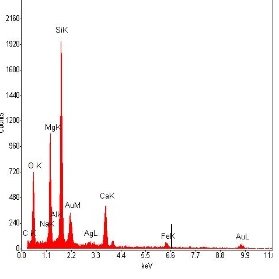 Spettro raccolto in microanalisi a raggi X a dispersione di energia (EDX)