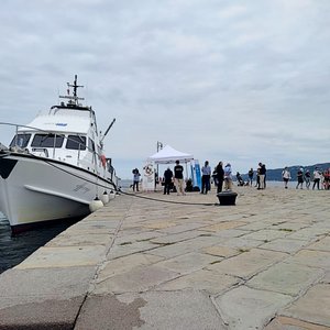 immagine anteprima per la notizia: a misura di mare: pesca sostenibile e specie aliene