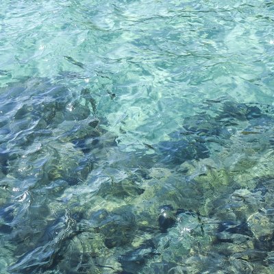 Bollettino mensile delle misure idrologiche e della torbidità della laguna