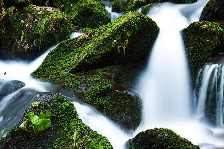 immagine contenuta nella pagina: il ciclo dell’acqua (ragazzi)