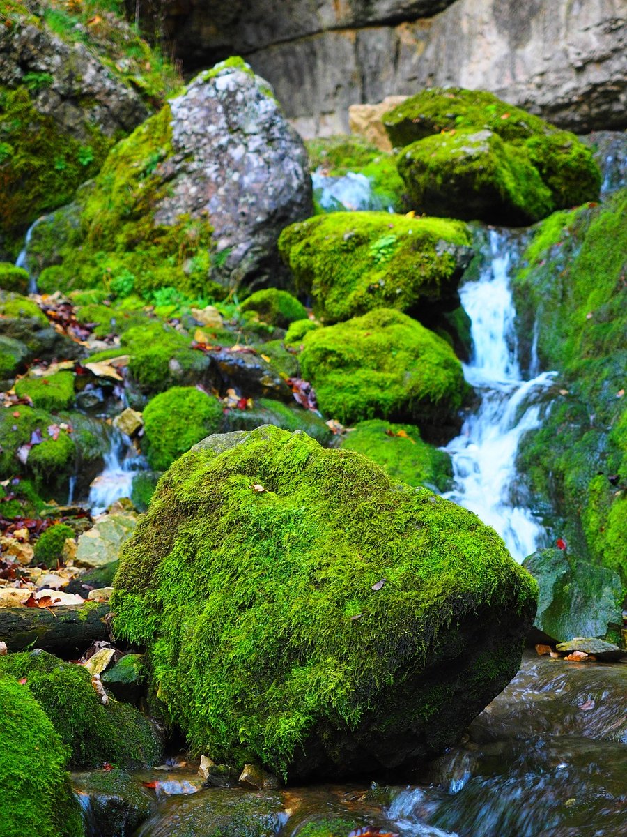 immagine contenuta nella pagina: l’acqua che modella il territorio