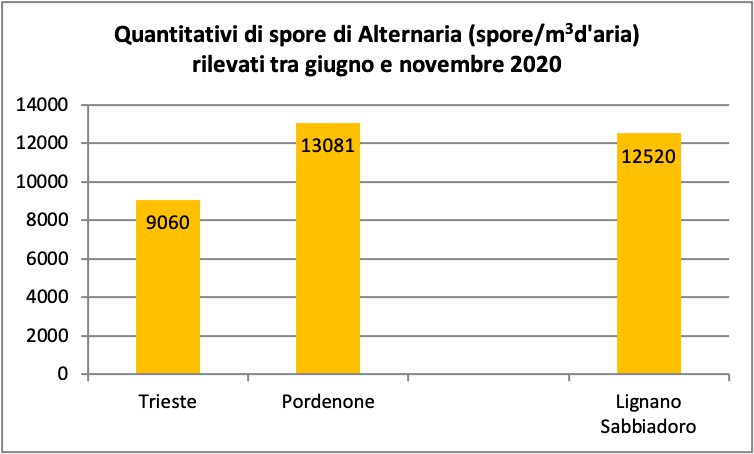 Figura 4: Quantitativi di spore di Alternaria tra giugno e novembre 2020