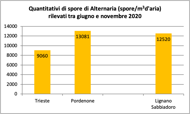 figura 4: quantitativi di spore di alternaria tra ...