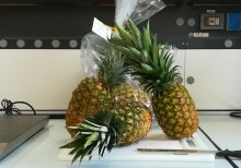 analisi ananas