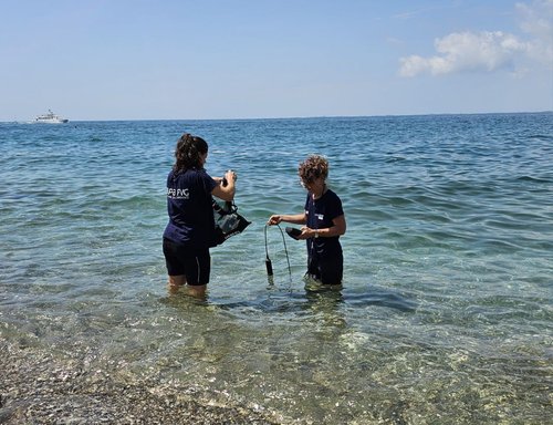 campionamenti Ostreopsis ovata luglio 2025 Sistiana
