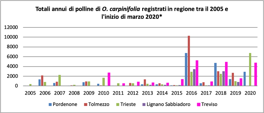 figura 1: totale annuo di polline di carpino nero ...