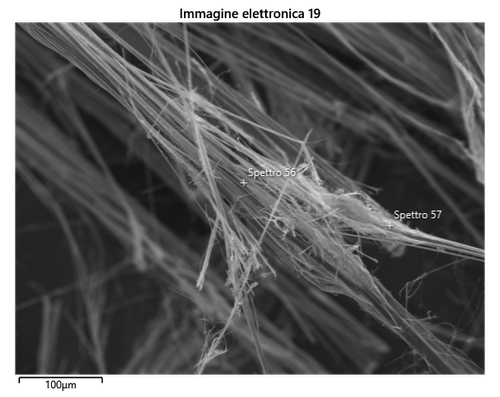 Fibra di crisotilo al SEM