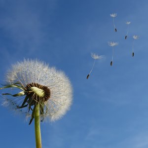 immagine anteprima per la notizia: rapporto sulla qualità dell’aria nella zona industriale alto f...