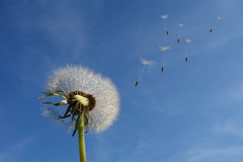 immagine anteprima per la notizia: rapporto sulla qualità dell’aria nella zona industriale alto f...