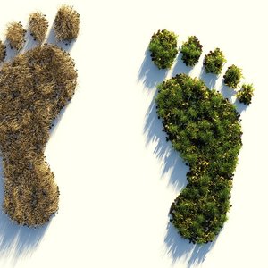 immagine anteprima per la notizia: pordenone docs fest: con il supporto di arpa fvg calcolata l’impronta di carbonio del festival