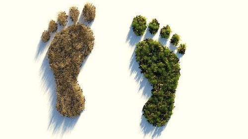 ecological-footprint-gbe22a3864_1280