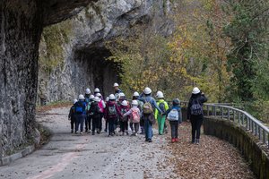 immagine anteprima della pagina: <p data-block-key="9bgvf">stare in natura e conoscere la natura<...