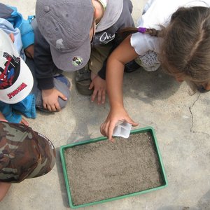 immagine anteprima per la notizia: una nuova sezione per l'educazione ambientale