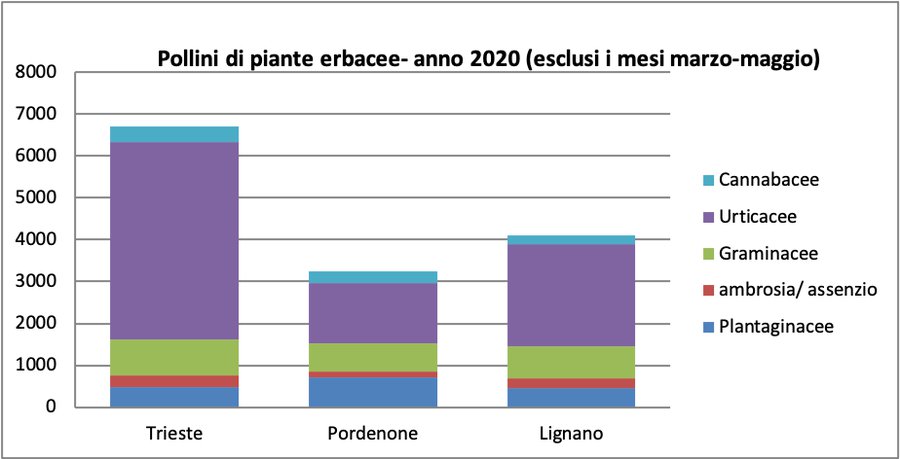 figura 3: pollini di piante erbacee - anno 2020