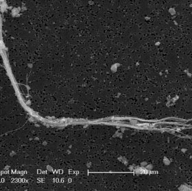 Fascio di CRISOTILO: immagine raccolta al microscopio elettronico a scansione (SEM)