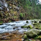 immagine anteprima per la notizia: il laboratorio di arpa fvg espande ancora il suo pannello anal...