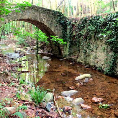 immagine contenuta nella pagina: emergenze ambientali