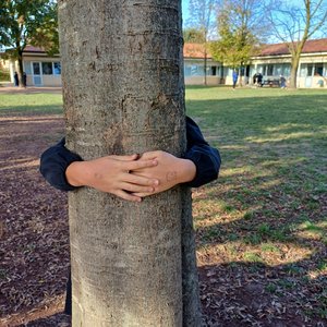 immagine anteprima per la notizia: educazione ambientale: conclusi gli incontri per il progetto d...